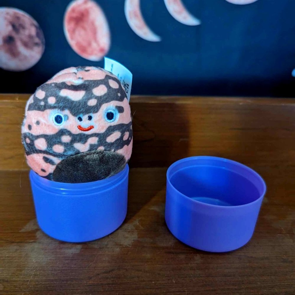 Squishmallows Roth Desert Squad Mystery Capsule